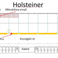 Holsteiner